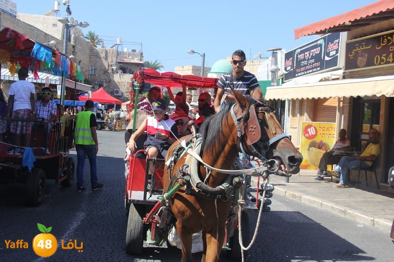 re7la ludj31 (9).JPG